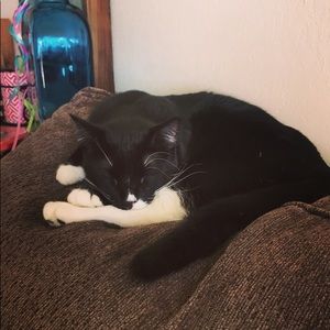 Meet your Posher, Jackie